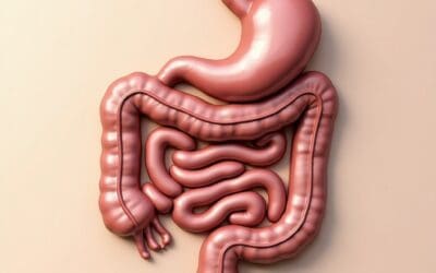 Comment l’irrigation du côlon peut améliorer votre digestion