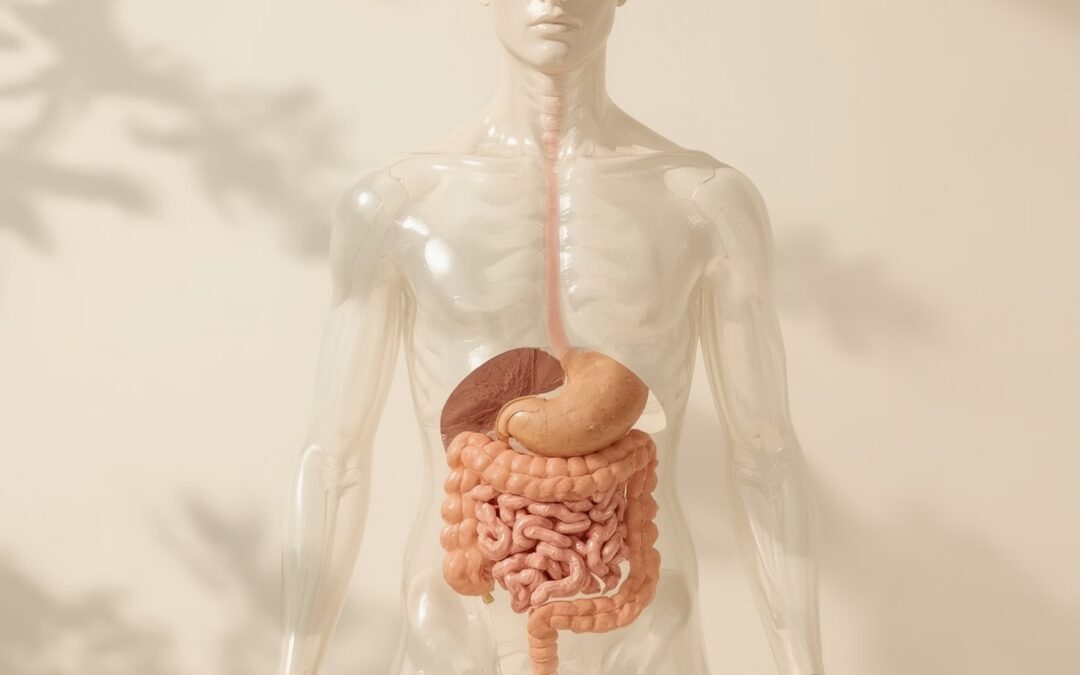 Les Signes que Votre Côlon a Besoin d’un Nettoyage