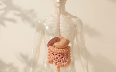 Les Signes que Votre Côlon a Besoin d’un Nettoyage