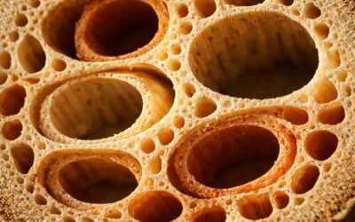 Le rôle du côlon dans l’équilibre digestif global